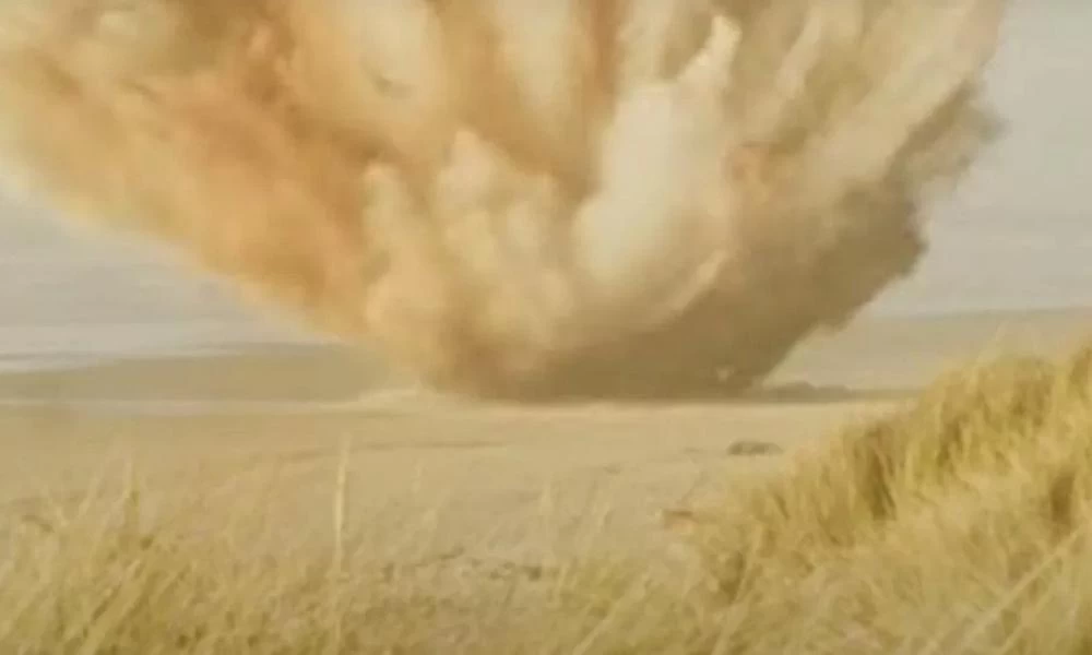 Το 1970 ανατίναξαν μία νεκρή φάλαινα: Το χρονικό μιας… θρυλικά ανόητης πράξης!